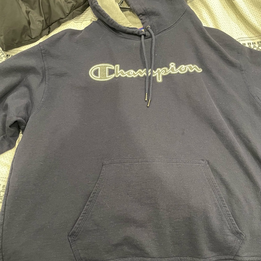 Champion Men's Navy Hoodie